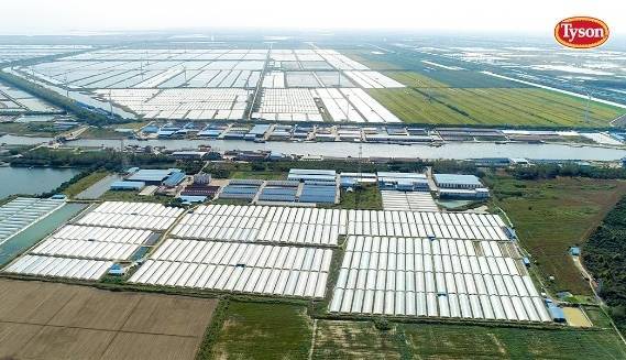 食品市场竞争日益激烈泰必威 必威betway森食品用创新绘制高增长曲线(图1)