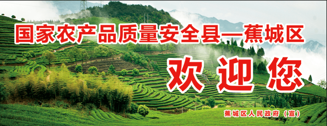 必威 betway必威【食品安全宣传周-国家农安县风采展播】蕉城区：共建共享国家农产品质量安全县创建成果(图1)