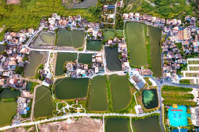 60年老蚕房大变身！超大露台、落地玻璃窗、新派粤菜→必威 必威betway(图1)