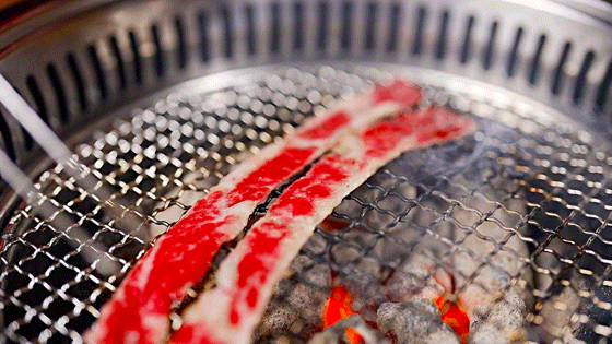 日韩烤肉、经必威 必威betway典粤菜玩转羊城吃下这口安利！(图4)