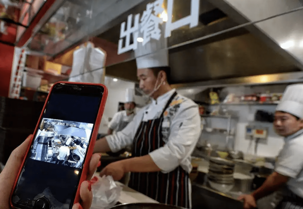 必威 betway必威女子店内吃面挑出80多只蚂蚁无赔偿？食品卫生安全问题又引热议！(图4)
