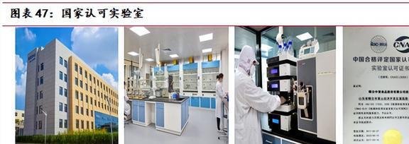 海内外双向发展中宠股份：多品必威 betway必威牌矩阵建立宠物食品龙头迎新机(图36)