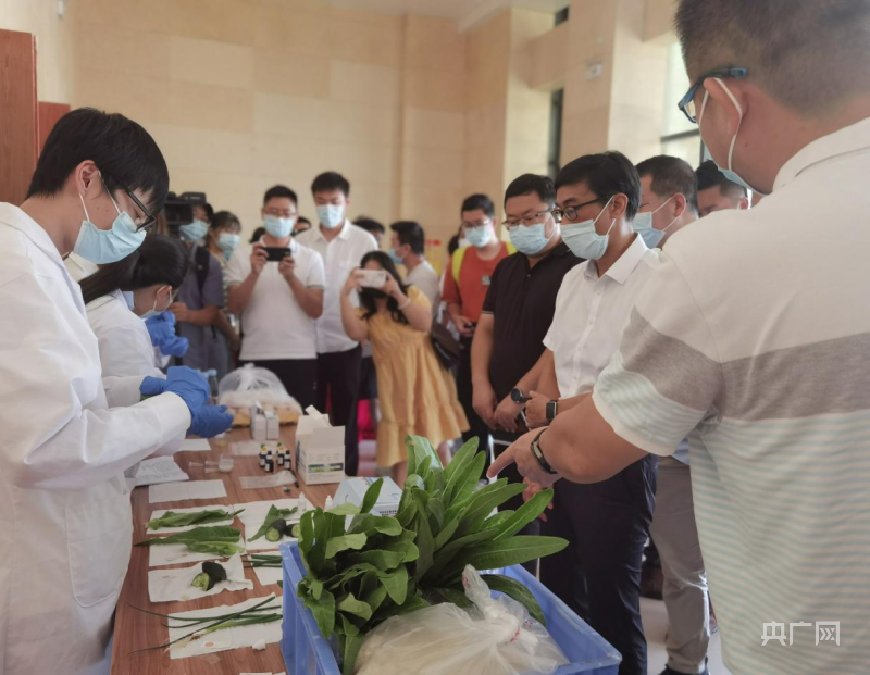 必威 必威betway广西“你点我检”进校园 增强学生食品安全意识(图2)