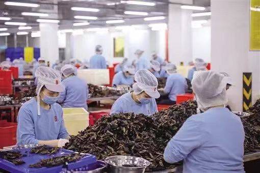 必威 betway必威“下架风波”中的槟榔：曾经的网红食品与背后的产业王国(图3)