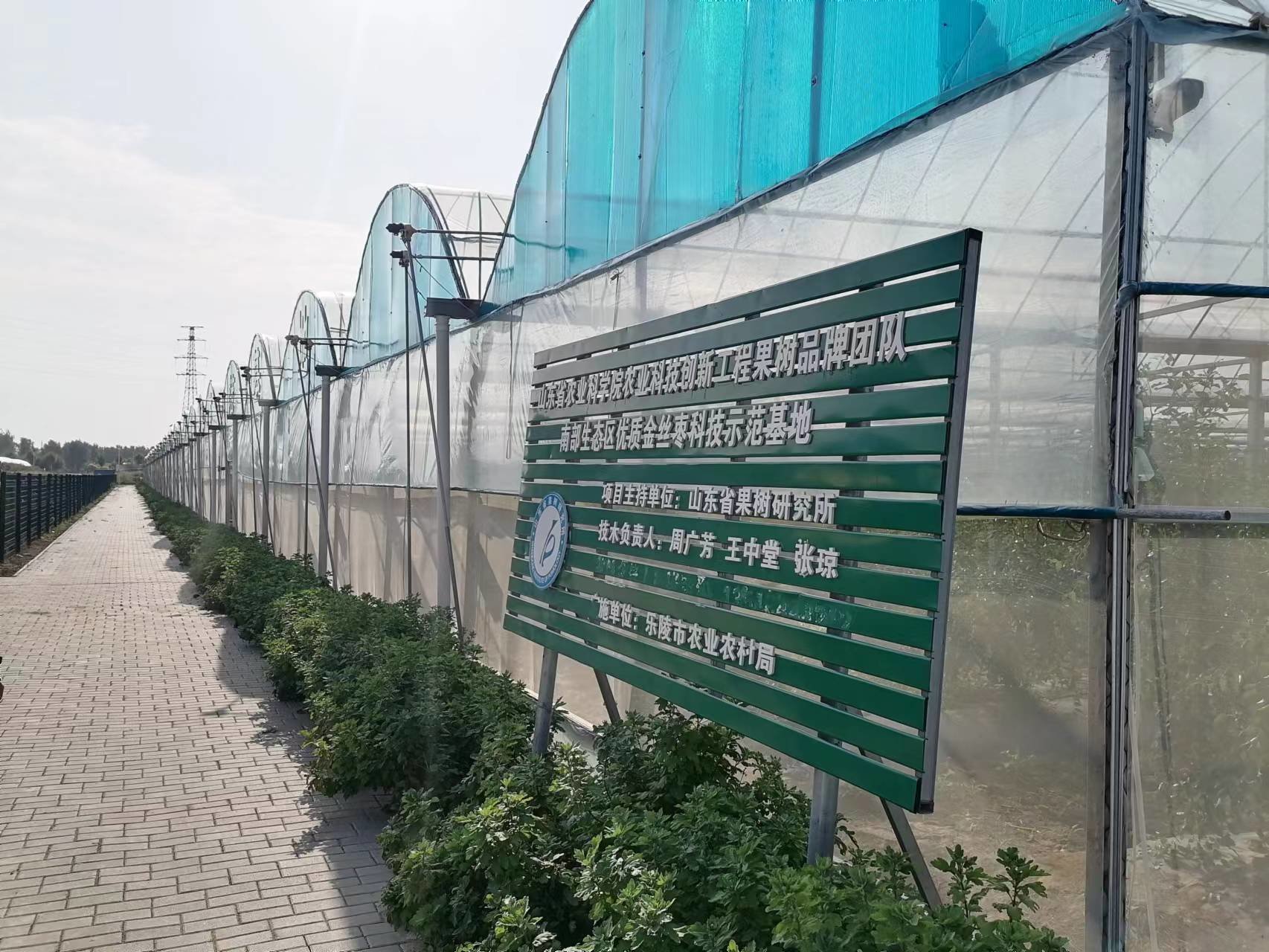 乐陵创新“走在前”“甜蜜”产业引领“食品名必威 必威betway市”建设(图1)