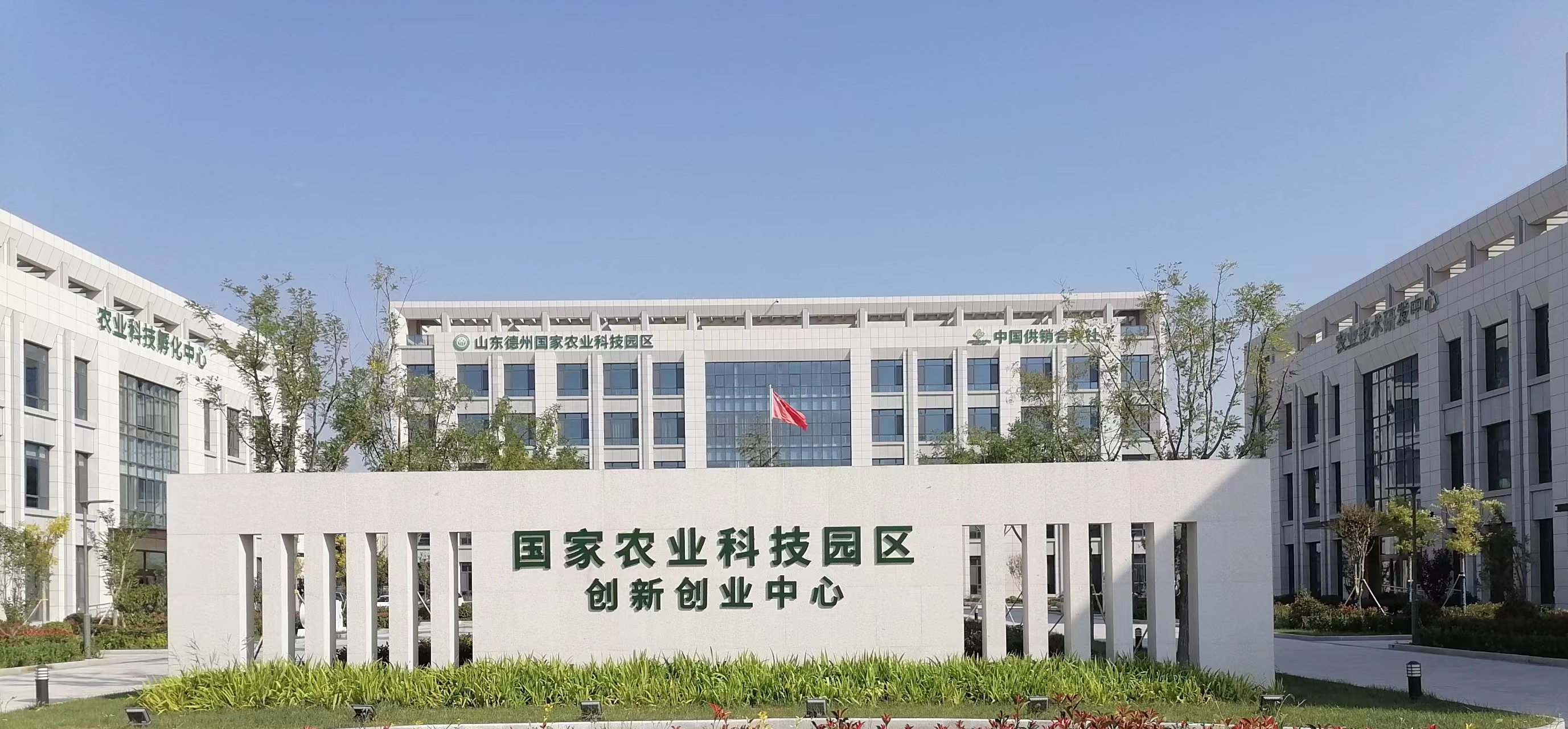 乐陵创新“走在前”“甜蜜”产业引领“食品名必威 必威betway市”建设(图2)