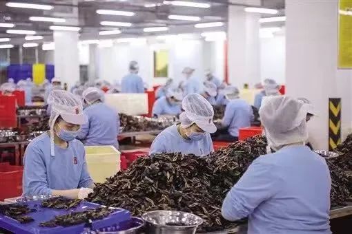 必威 必威betway“致癌零食”下架风波：网红食品槟榔背后的产业王国(图3)