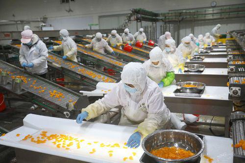 被80%国人看作垃圾食必威 必威betway品却年出口创350亿外汇美方买走近乎一半(图4)