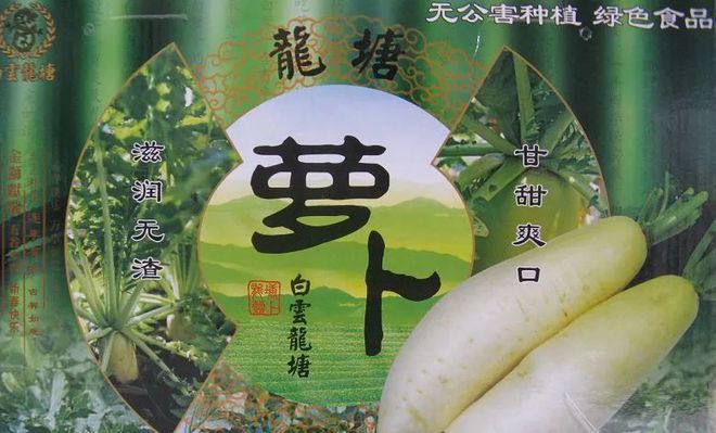 美丽乡村游体验线路 走进生态白云感受广州“必威 betway必威第二市肺”之美(图14)