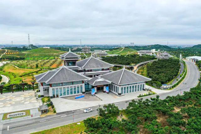 必威 必威betway甜美果海线路！就在高州！“国字号”乡村休闲旅线路！约吗(图2)