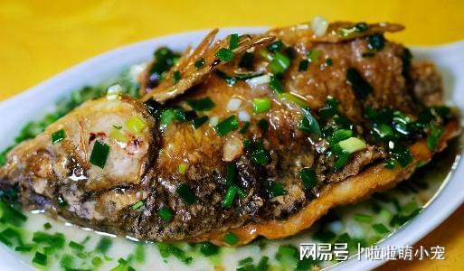 梧州本地人强烈推荐必威 必威betway的葱油鱼72元一条驰名两广人太多直接撵客(图2)