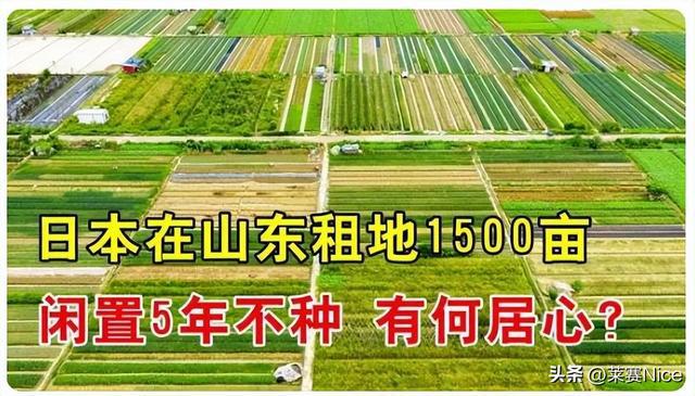 必威 betway必威海天酱油对与错：一个配料表背后食品安全远不止如此(图1)