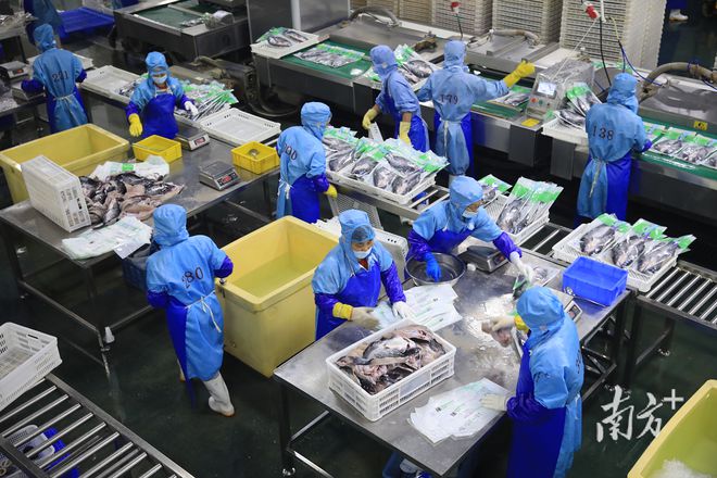广东全国率先立项制定预制菜五项基必威 betway必威础性关键性地方标准(图3)