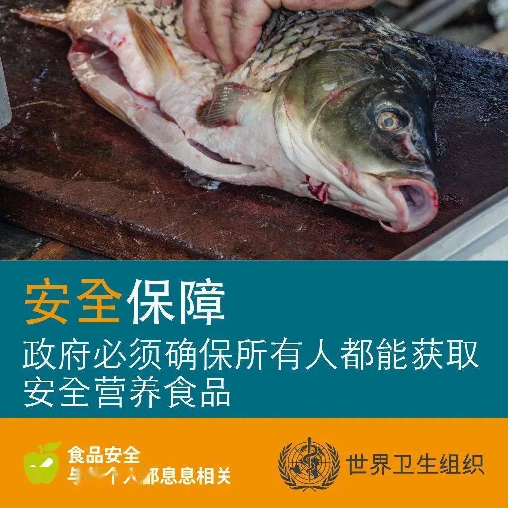 科普_食品必威 betway必威(图2)