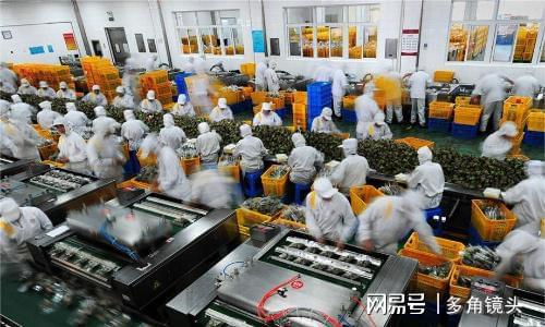 盼盼食品创始人蔡金垵：从小作坊到大集团中国零食大王必威 betway必威的发家史(图5)