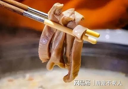 必威 betway必威俗话说“一个猪肚十副药”是啥意思？常吃猪肚身体会有什么变化？(图3)