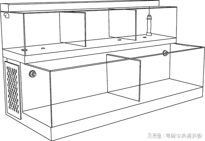必威 必威betway饮食历史：海鲜池——新派粤菜的标志(图2)
