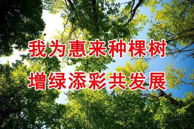 【粤菜师傅】推动“粤菜师傅”高质量发展 “隆脚”品牌形象店落地必威 必威betway(图4)