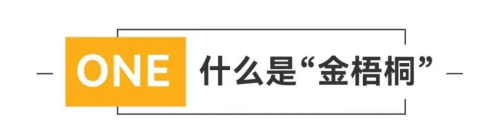 2022凤凰美食盛典金梧桐中国餐厅指南发布｜遇园·慧再度摘星！必威 betway必威(图3)