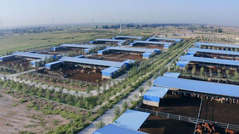 广东夜间堂食消费全国必威 必威betway第一潮汕牛肉火锅“越夜越精彩”(图3)