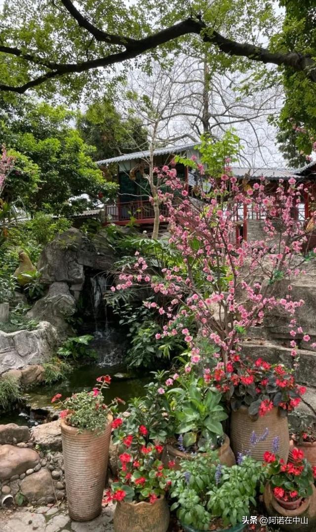 必威 betway必威寻味广东中山美食小镇这家餐厅居然上过《舌尖上的中国(图9)