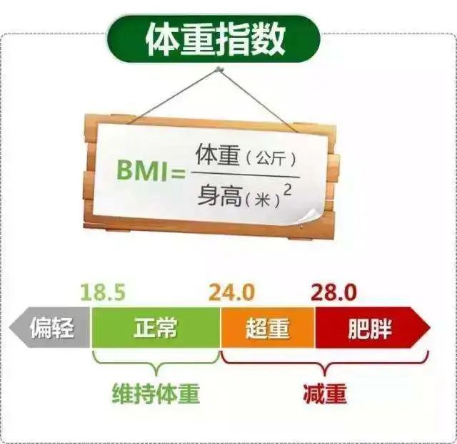 必威 必威betway【关注】广东美食这么多肥胖率却全国倒数？苗条的秘诀竟是……(图4)
