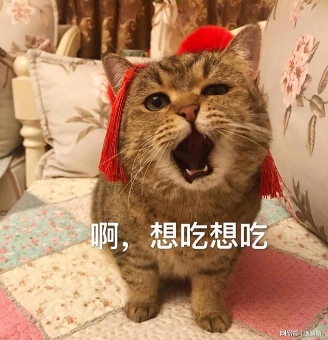 探究粤菜经典：菠萝咕噜肉必威 必威betway的历史渊源(图3)
