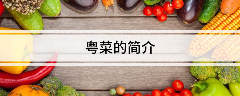 必威 betway必威粤菜的简介(图1)