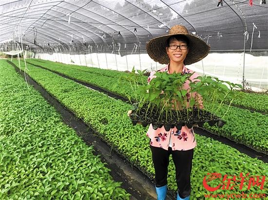 必威 必威betway粤菜师傅“结对带货” 家政超市“定制服务”(图1)