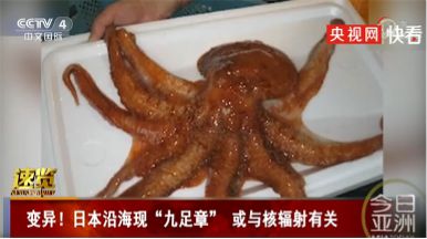 必威 必威betway日料店：“我们是粤菜！”(图14)