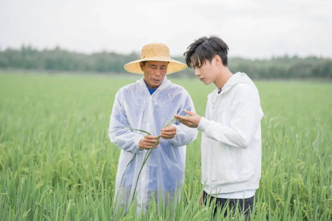 必威 必威betway粤菜文化的公益表达这档节目如何拓宽“扶贫+综艺”边界？(图1)