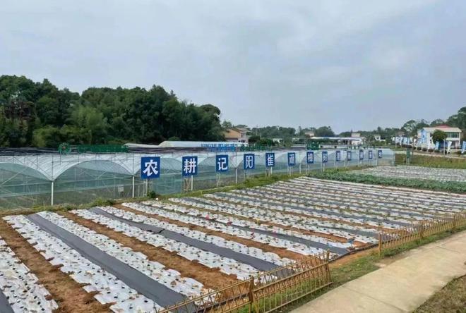 必威 betway必威川菜还没式微但湘菜真的凶猛(图5)