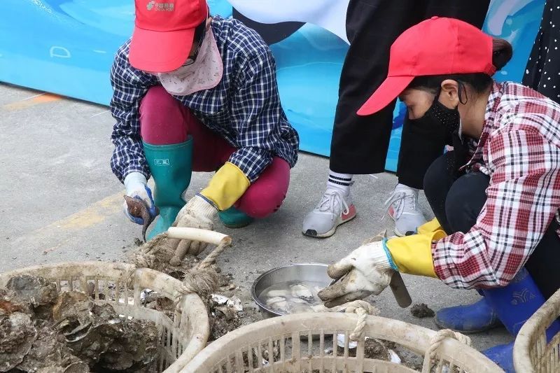粤菜师傅＋美食＋旅游 跟着阳江这份“美食地图”玩转中国南海渔都必威 betway必威(图7)