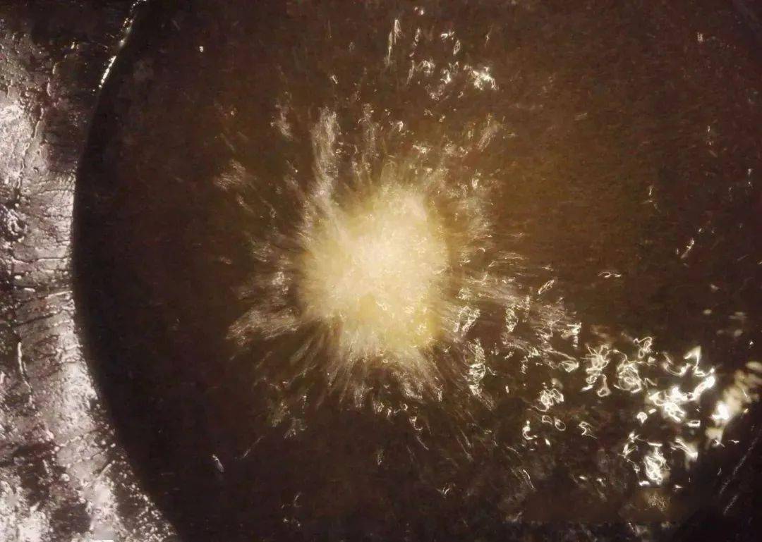必威 必威betway八道霸气粤菜全是食客最爱点的菜式！(图8)