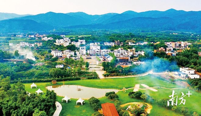 快来点赞！这1必威 必威betway0条村被评为“广州粤菜师傅名村”(图4)