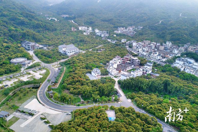 快来点赞！这1必威 必威betway0条村被评为“广州粤菜师傅名村”(图5)