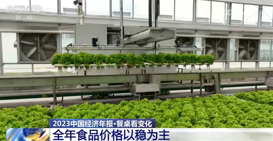 必威 betway必威2023年食品价格以稳为主 中国居民践行“大食物观”膳食越来越健康多元(图3)