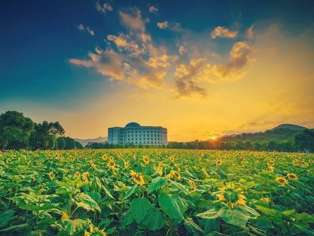 【食品专业面对面】浙江工业大学食品科学与工必威 betway必威程学院介绍(图2)