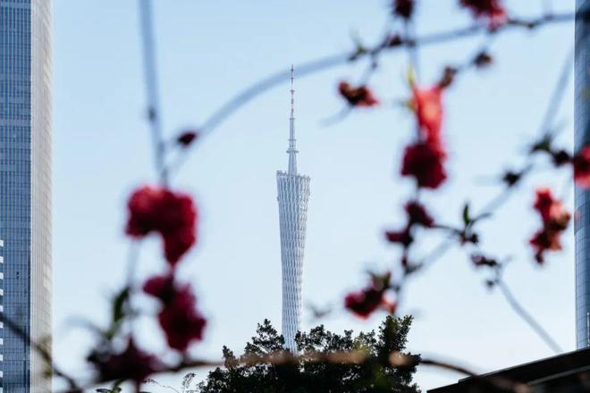 必威 必威betway广州最权威的美食地图出炉了收藏起来慢慢打卡！(图5)