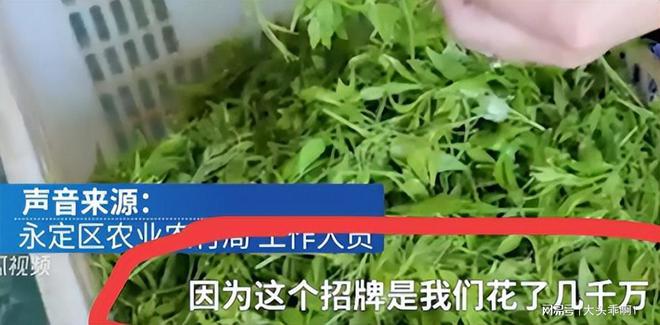央媒发必威 必威betway声！禁止私自炒莓茶后续：内情曝光官方介入评论区沦陷(图7)