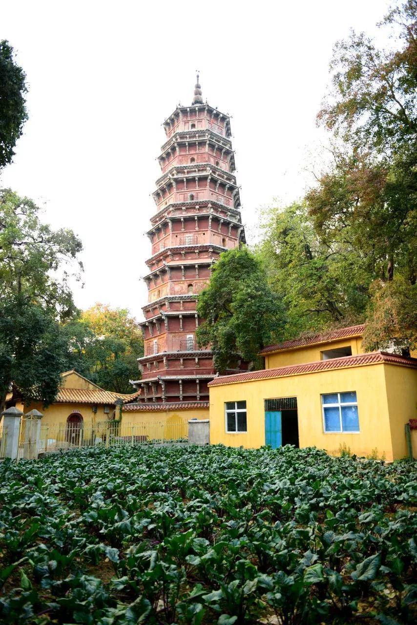 必威 必威betway中国顶级名菜大全(图12)