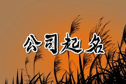 食品公司名字大全好听有寓意（最新500个）必威 betway必威(图1)
