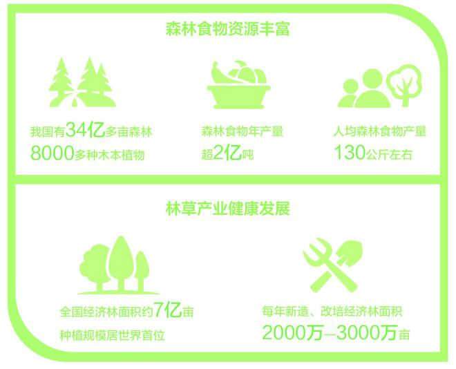 紫苏必威 betway必威油、椴树蜜、大叶芹……这些森林食品你品尝过吗？(图1)