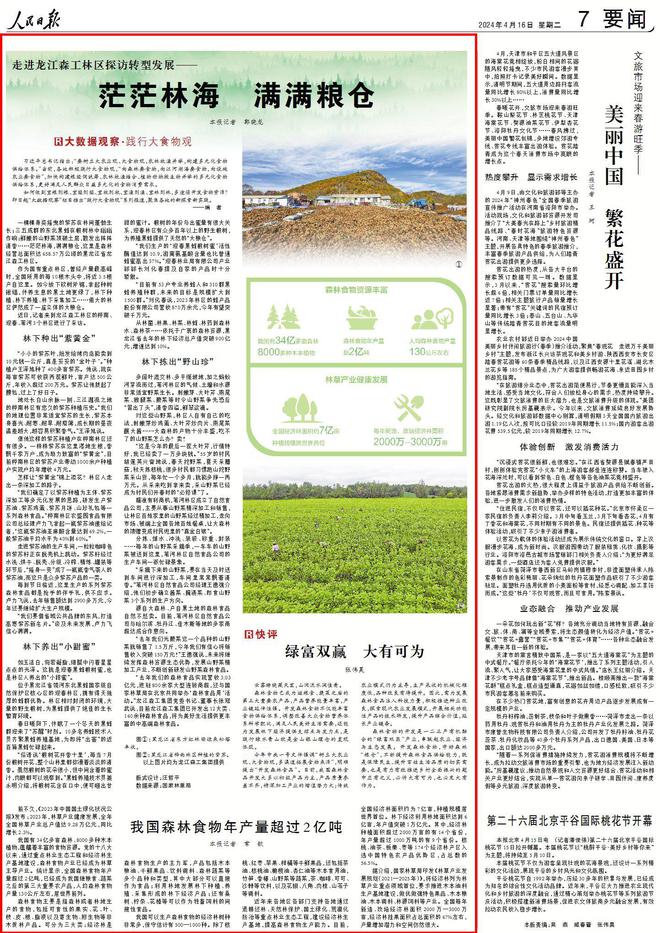 紫苏必威 betway必威油、椴树蜜、大叶芹……这些森林食品你品尝过吗？(图4)