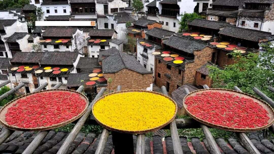 必威 betway必威广东特色美食地图深圳是肯德基、麦当劳？深圳不服要辩！(图23)